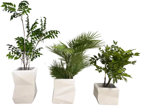 White planter