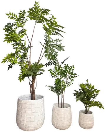 Set of 3 embossed planters