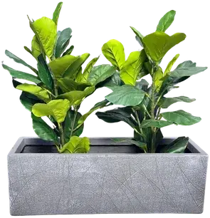 Dark gray planter