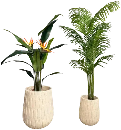 Planter set