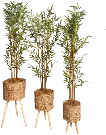 Wicker planter set