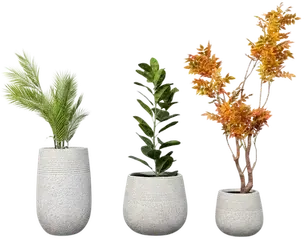 Gray planter