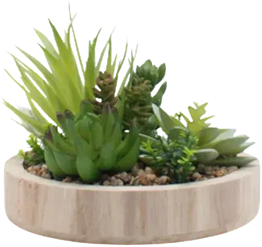 Wooden planter terrarium