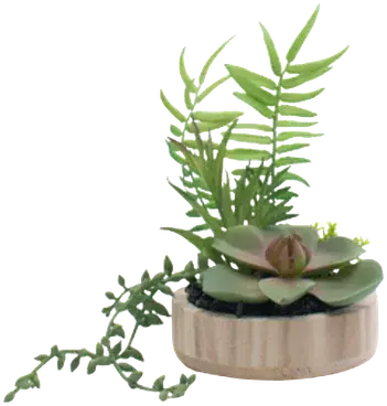 Wooden planter terrarium