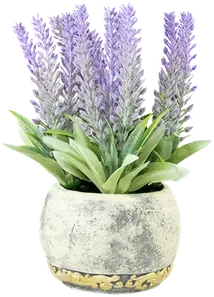 Lavender in a vase
