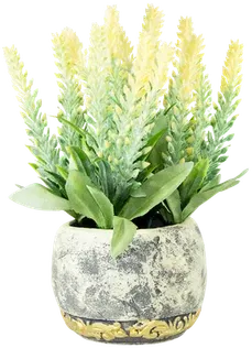 Lavender in a vase