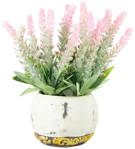 Lavender in a vase