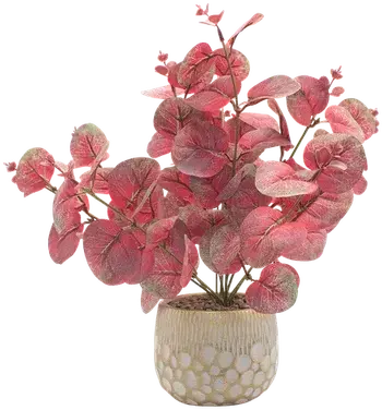 Eucalyptus in a vase