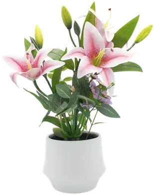 Pink lilies in a vase