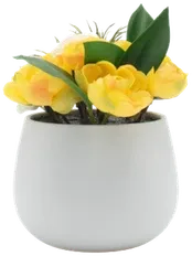 Yellow roses in a vase