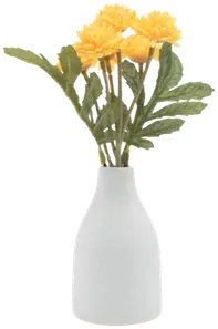 Chrysanthemums in a vase