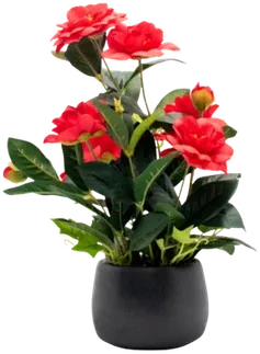 Camellia and red rose arrangement