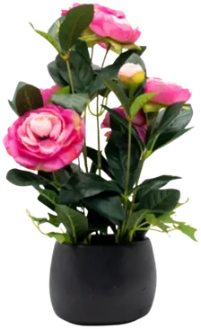 Camellia and rose arrangement