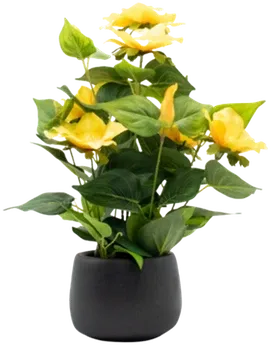 Camellia and yellow rose arrangement