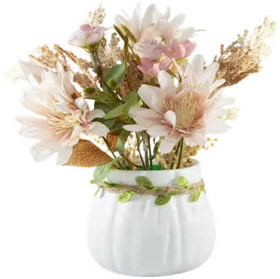 Daisies in a vase