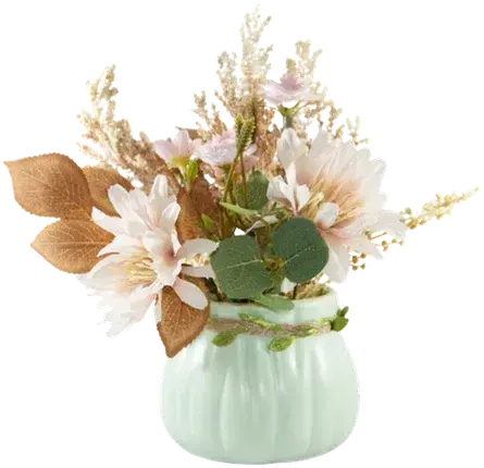 Daisies in a vase