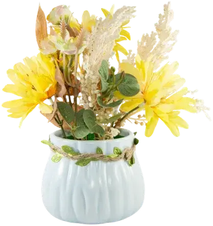 Daisies in a vase