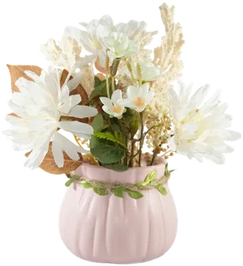 Daisies in a vase