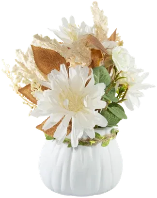 Daisies in a vase