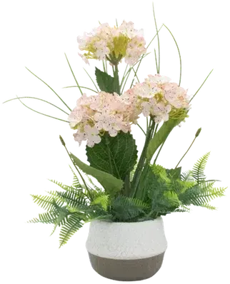 Hydrangeas in a vase