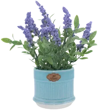 Lavender in a vase