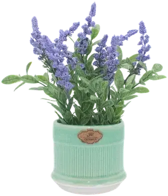 Lavender in a vase