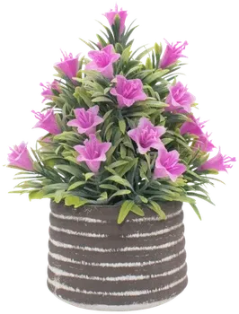 Flowering shrub in a vase