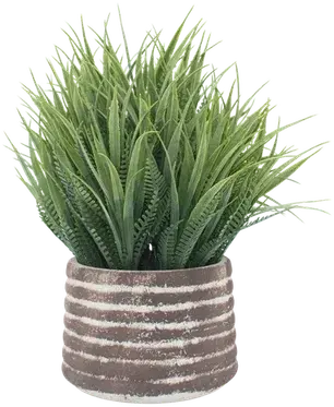 Grass in a vase
