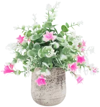 Pink-flowering shrub in a vase