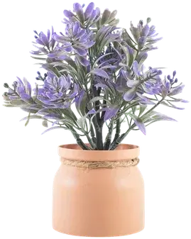 Mini chrysanthemum arrangement
