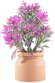 Chrysanthemums in a vase
