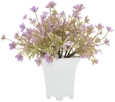 Fern and flowers in a vase