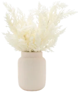 Dried stems in a dusty rose vase