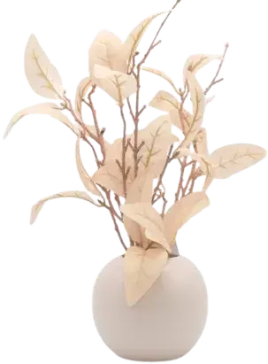 Dried leaves in a vase