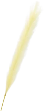 Artificial grain stem