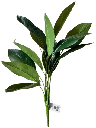 Green jade pothos stem