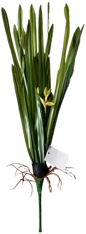 Small-flowered orchid stem