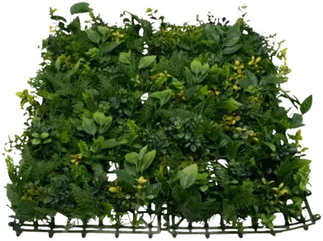 Foliage with yellow flowers